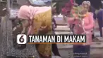 Emak-emak kadang meninggalkan cerita yang buat geleng kepala.