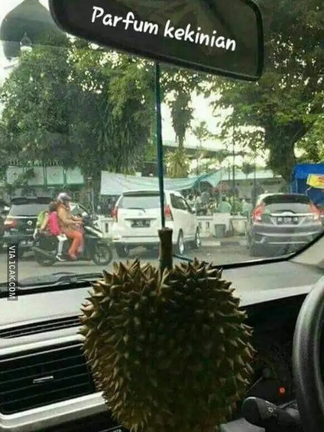 6 Potret Pemanfaatan Kulit Durian Ini Kelewat Unik, Ada-Ada Saja