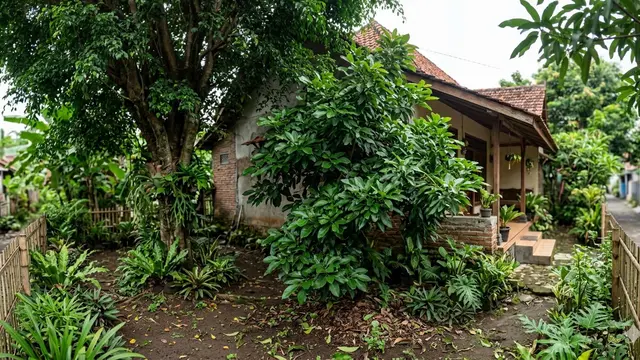 Alpukat Subur Daun tapi Tidak Berbuah (Foto: Gemini AI)