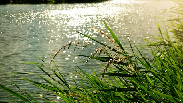 Sungai