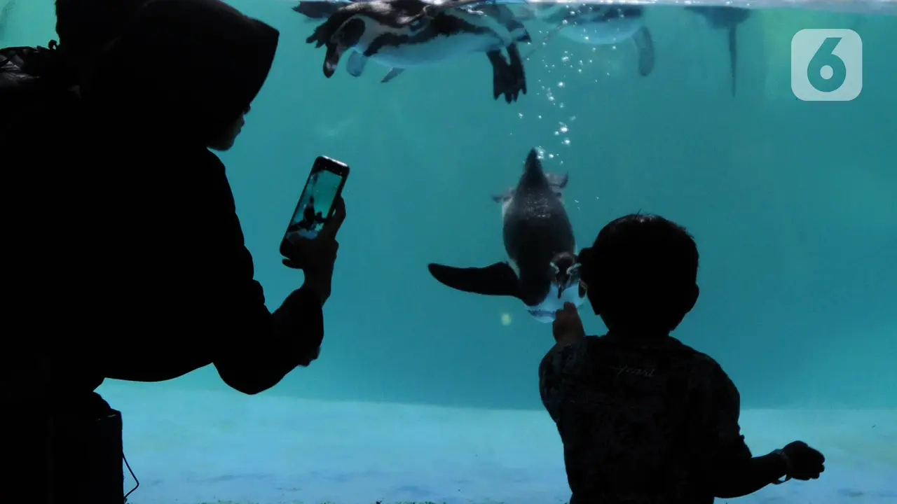 Taman Safari Indonesia Ramai Dikunjungi Wisatawan