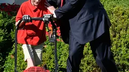 Presiden AS, Donald Trump membantu Frank Giaccio mendorong mesin pemotong rumput di Rose Garden, Gedung Putih, Jumat (15/9). Dalam suratnya, bocah 11 tahun itu menulis bahwa ini adalah kehormatan baginya memotong rumput Gedung Putih. (Mike Theiler/AFP)