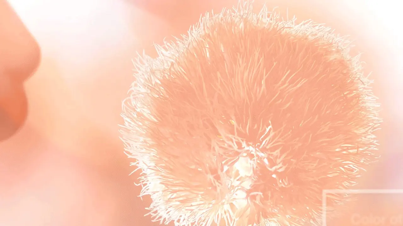 Warna Peach Fuzz Ditetapkan Sebagai Pantone Color of the Year 2024, Simak Alasannya