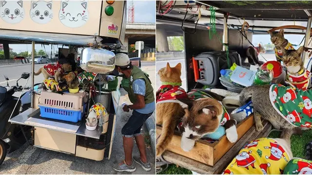 Viral Lansia Ajak 11 Kucing Traveling Pakai Motor, Tempuh Jarak 300 Kilometer