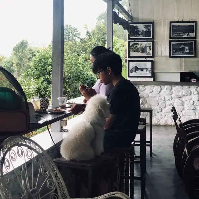 Rekomendasi Tempat Makan Enak di Malang Suasana Alam Terbaru 2025, deKleine Batu.