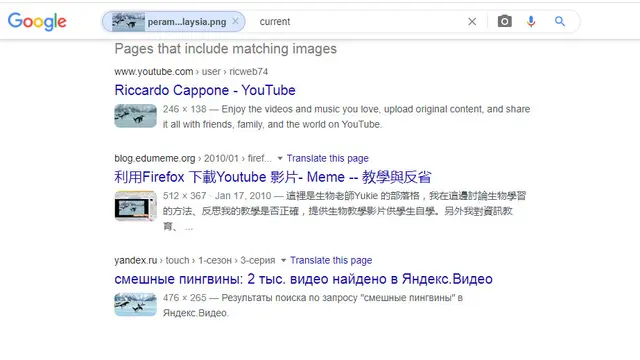 Hasil penelusuran Google Image