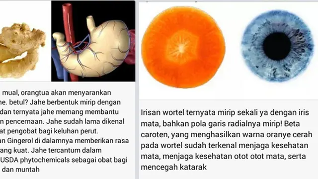 Copyright by facebook.com/Ida Zubaida