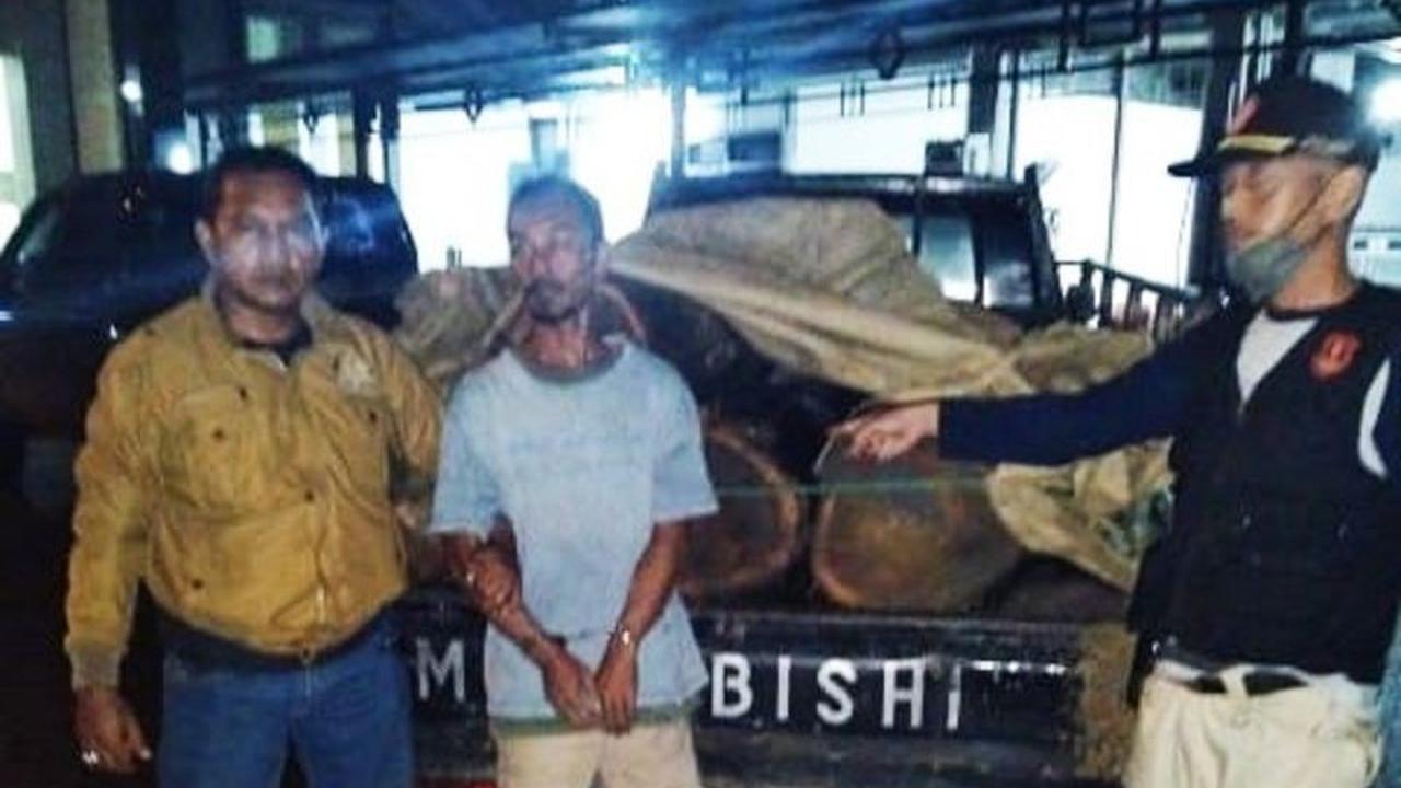 Polhutmob Perhutani Tuban Tangkap Pelaku Pembalakan Liar, Sita Kayu Jati Ilegal