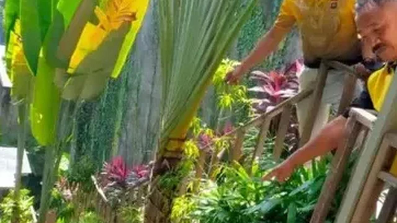 Diduga tali lift jembatan yang dinaiki oleh lima orang karyawan Ayu Terrace Resort yang terbuat dari baja putus, kemudian tabung lift meluncur deras ke bawah.