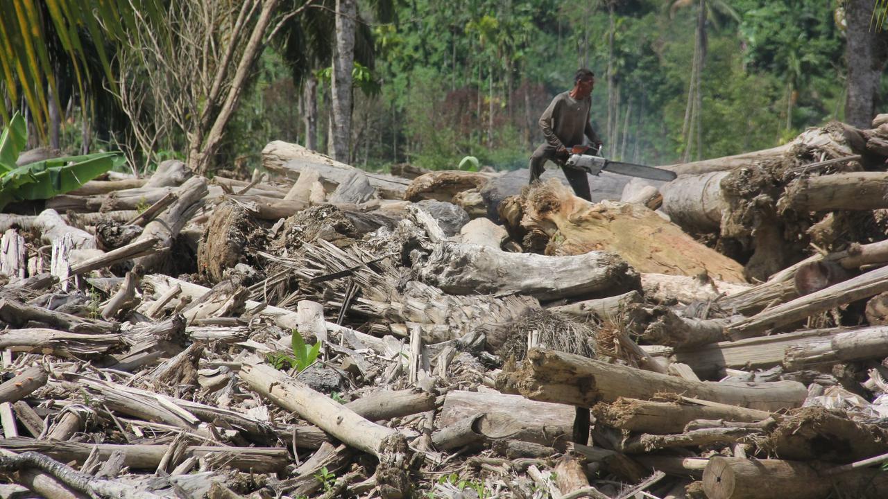 Ketika Hutan Tak Lagi Menahan Air: Menilik Jejak Deforestasi di Balik Cuaca Ekstrem Sumatra Utara
