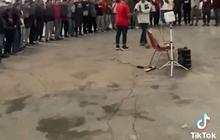 Viral Momen Perpisahan Kurir yang Kehilangan Pekerjaan karena Kena Dampak Sepi Paket, Bikin Sedih