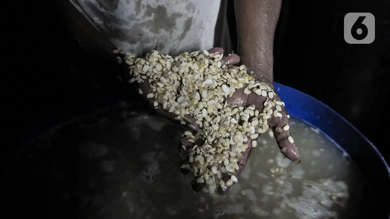 Produksi Tempe Kembali Menggeliat