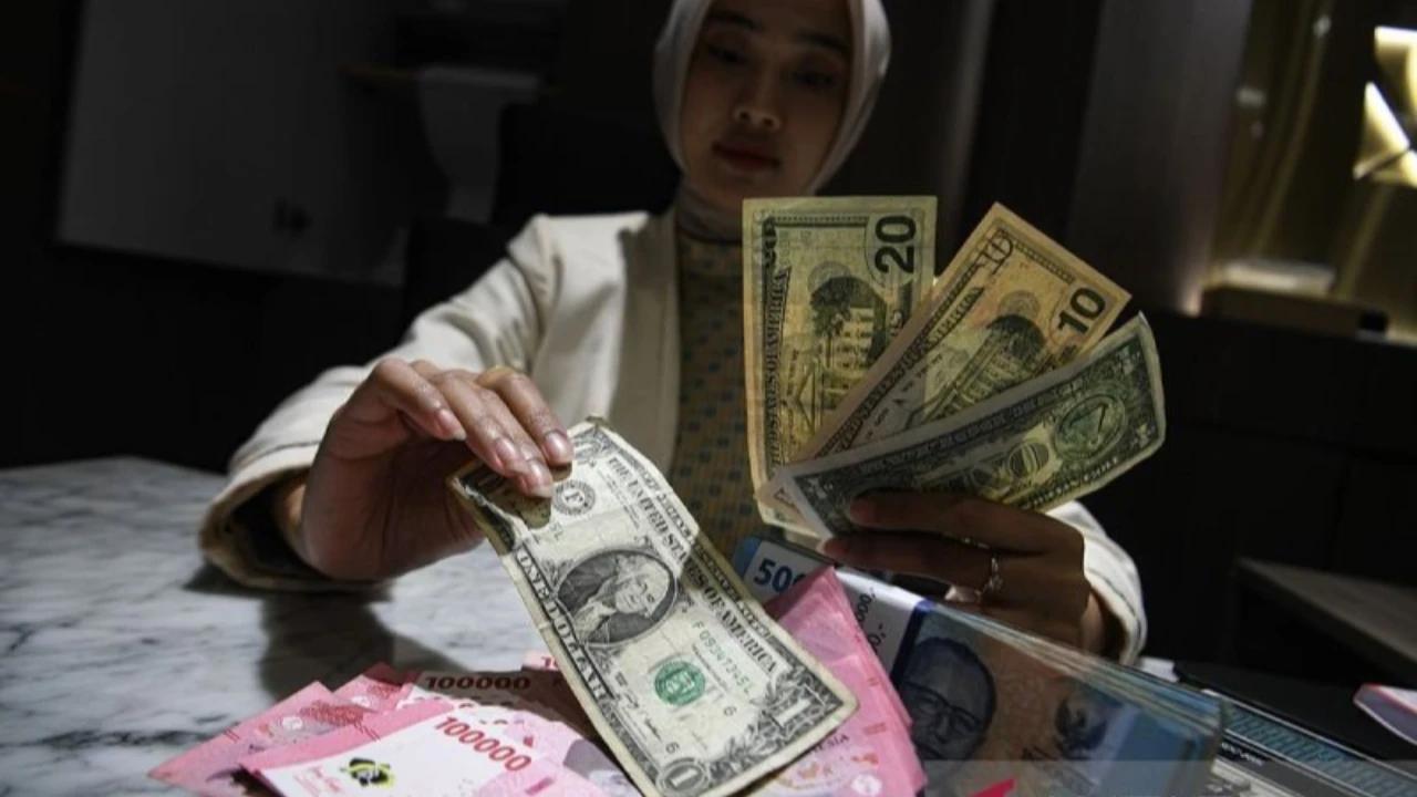 Bank Dunia Diminta Setop Pembiayaan untuk Peternakan Intensif, Ini Alasannya