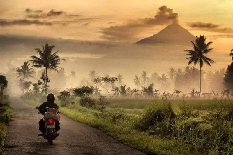 Pagi hari selalu disambut warga kaki Merapi dengan giat bekerja, kabut tak menghalangi mereka. (foto : Liputan6.com / danu/ edhie prayitno ige)