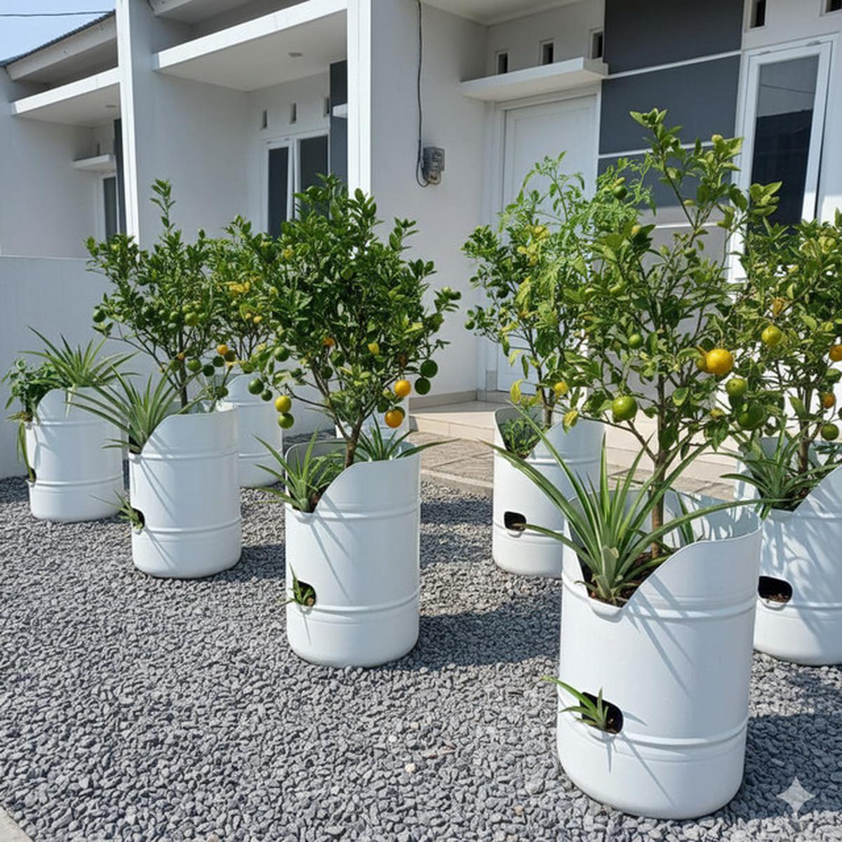 8 Ide Desain Kebun Buah Mini untuk Rumah Subsidi Type 27, Panen Segar di Lahan Terbatas