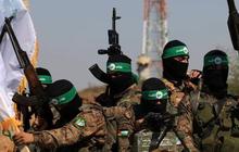 Tolak Pelucutan Senjata, Dukungan Warga Palestina ke Hamas Meningkat Tajam & Minta Mahmoud Abbas Mundur