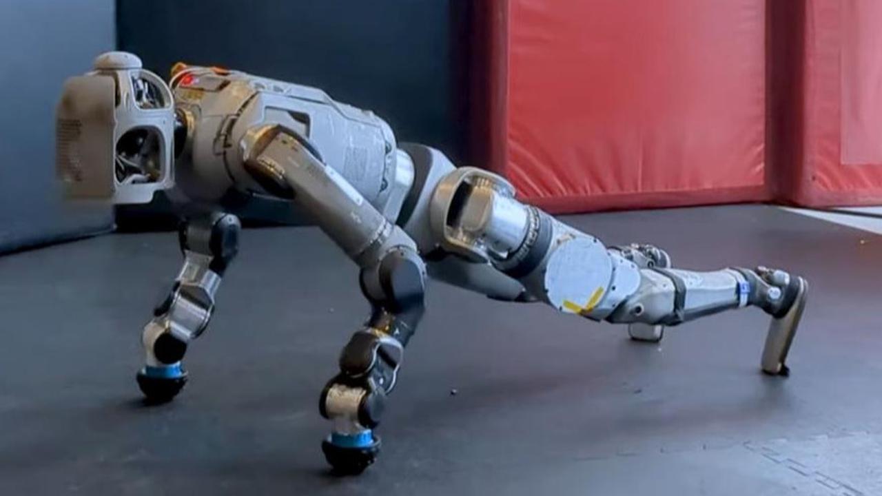 Robot ini Bisa Push-Up, Ada yang Berani Menantang?