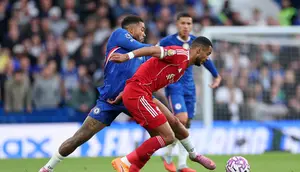 Efek Barcola, Man City Masuk Perburuan Cody Gakpo