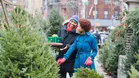Seorang psikolog lingkungan menyebutkan pohon natal adalah obat stres.