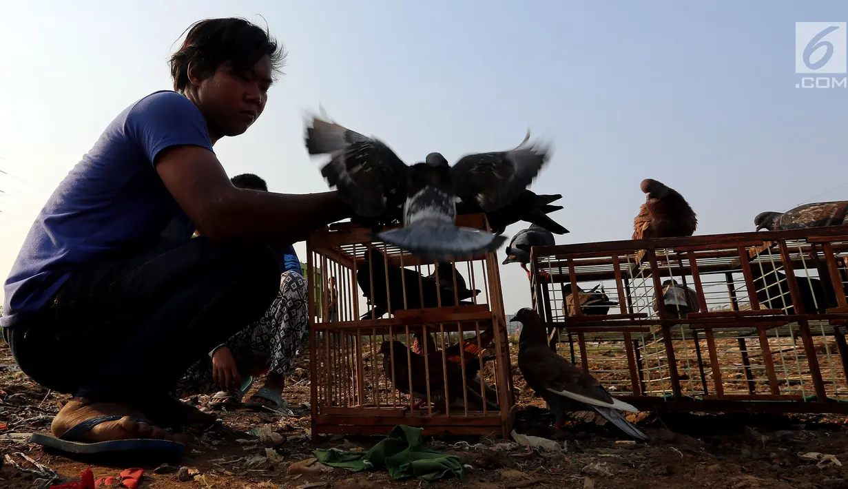 Warga bersiap melepas burung merpati di bantaran Kanal Banjir Barat (KBB), Petamburan, Jakarta, Kamis (21/9). Bermain burung merpati merupakan hobi yang digemari warga di bantaran Kanal Banjir Barat untuk mengisi waktu libur. (Liputan6.com/Johan Tallo)