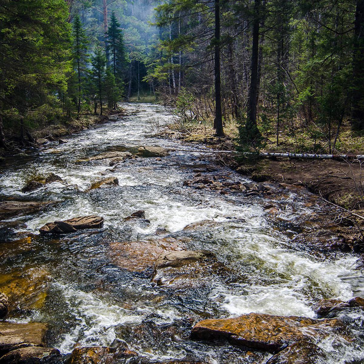 Скворенушка небольшая лесная речонка. Приключения на Лесной речке.. Rushing River.