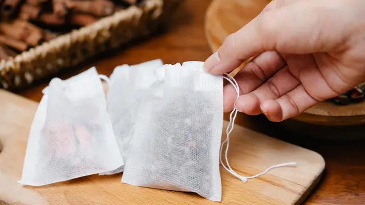 Ternyata Ini Rahasia Jengkol Empuk Tanpa Bau Menyengat