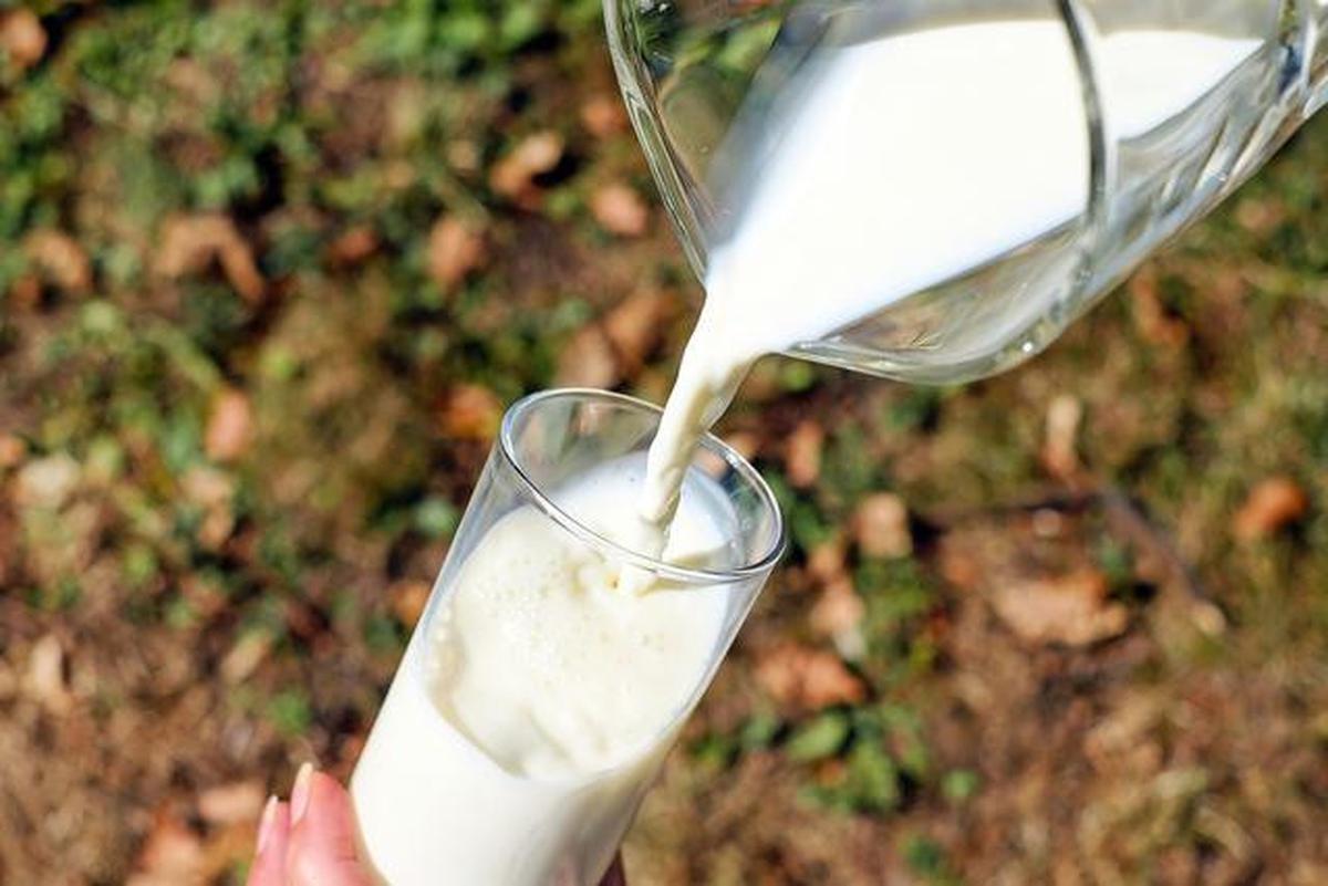 7 Makanan yang Sebaiknya Tidak Disimpan di Freezer, Kualitas Tetap Terjaga