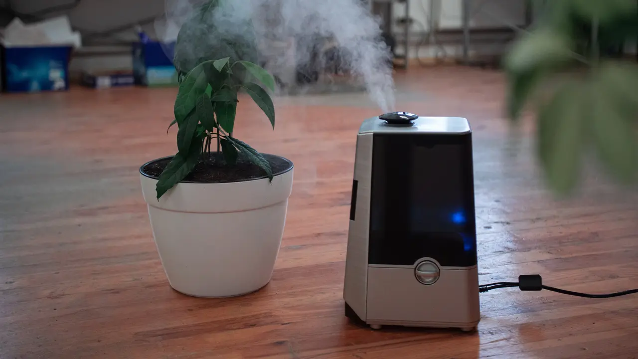 Ilustrasi humidifier, alat untuk menjaga kelembapan udara ruangan