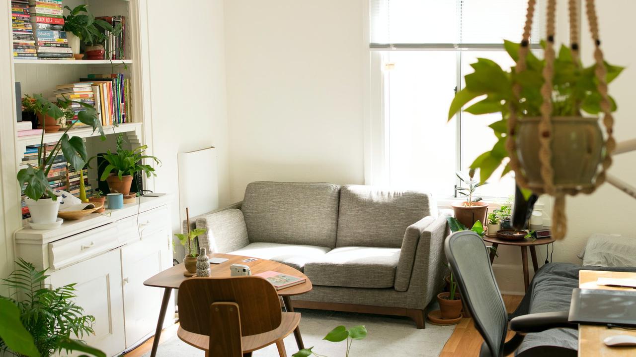 Ilustrasi Tanaman Hias