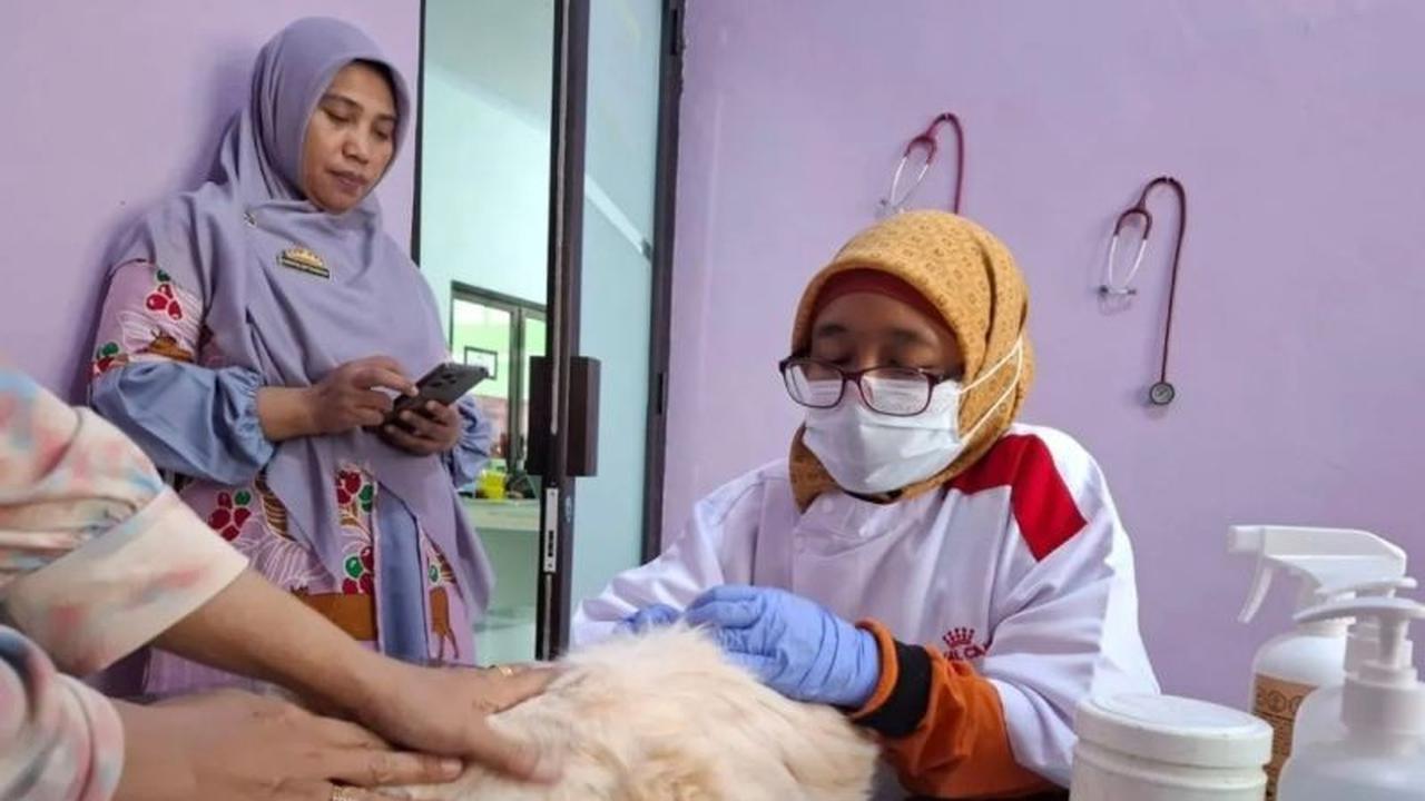 Fakta Vaksinasi Rabies Bandarlampung: 150 Hewan Telah Disuntik, Stok 200 Dosis Siap Disalurkan