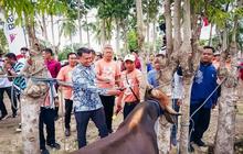 Tahukah Anda? OJK dan Bank SulutGo Perluas Akses Keuangan Gorontalo Melalui KUR Ternak Sapi