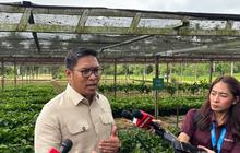 Gudang Bulog Penuh Stok Beras, Presiden Prabowo Perintahkan Bikin Gudang Baru Libatkan Koperasi Desa