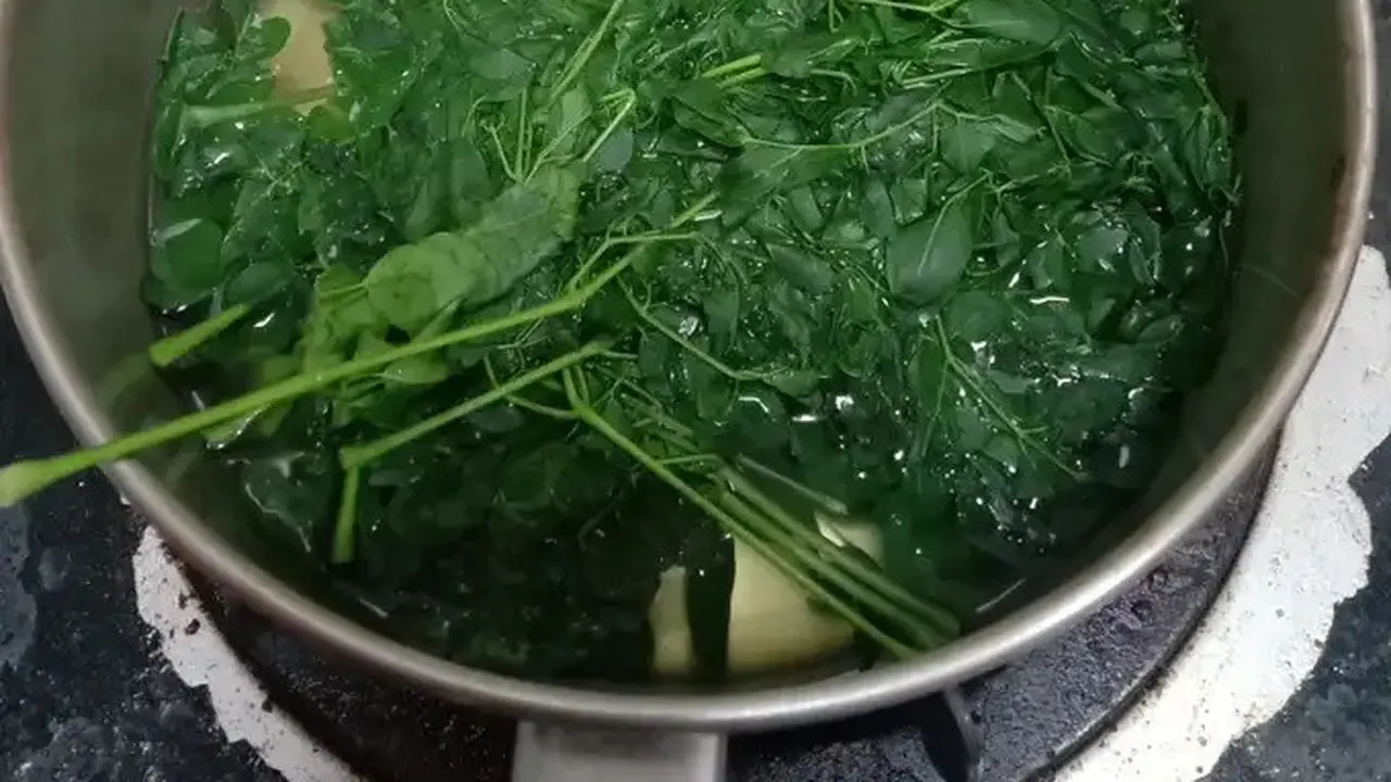 rebusan daun kelor