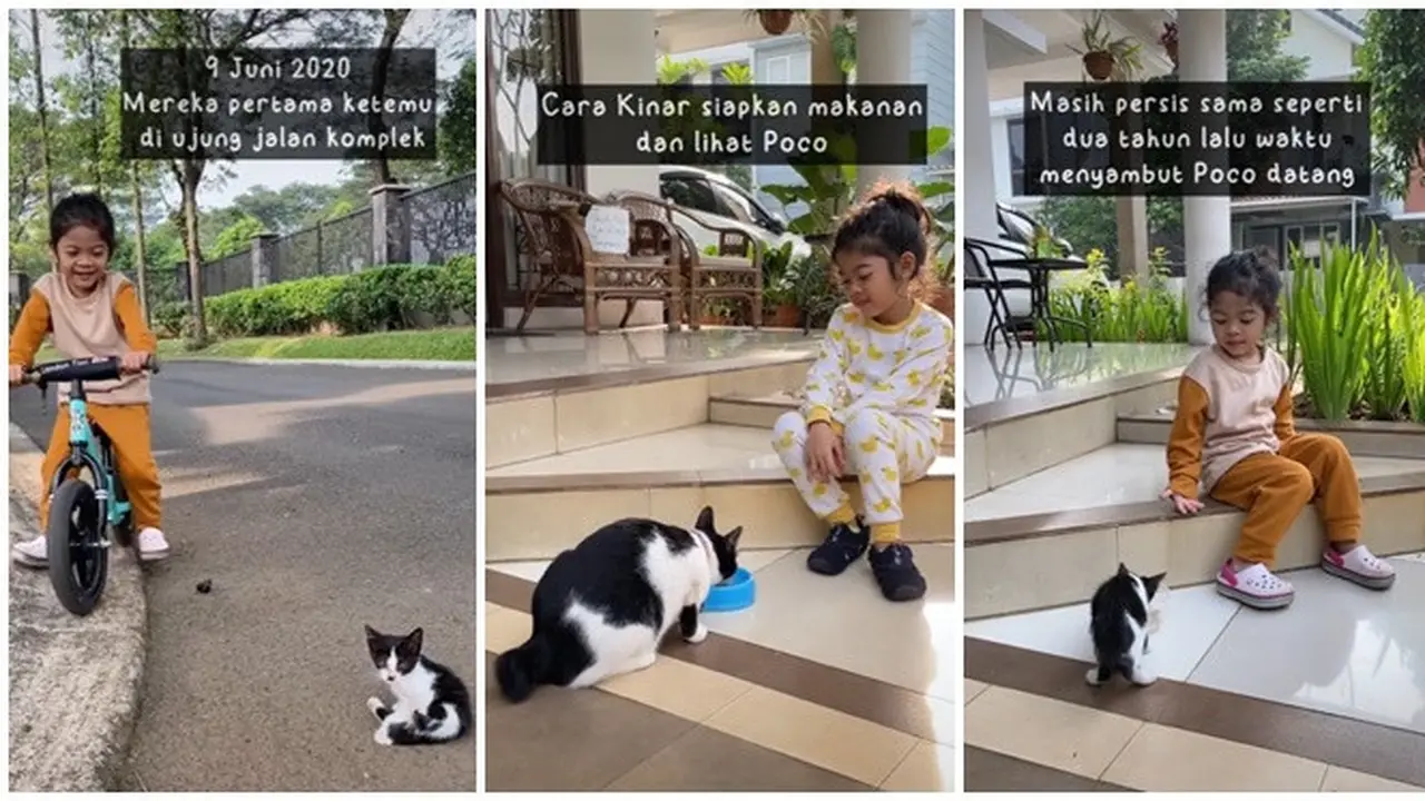 2 Tahun Rawat Kucing Jalanan dengan Tulus, Cerita Gadis Kecil Ini Bikin Salut