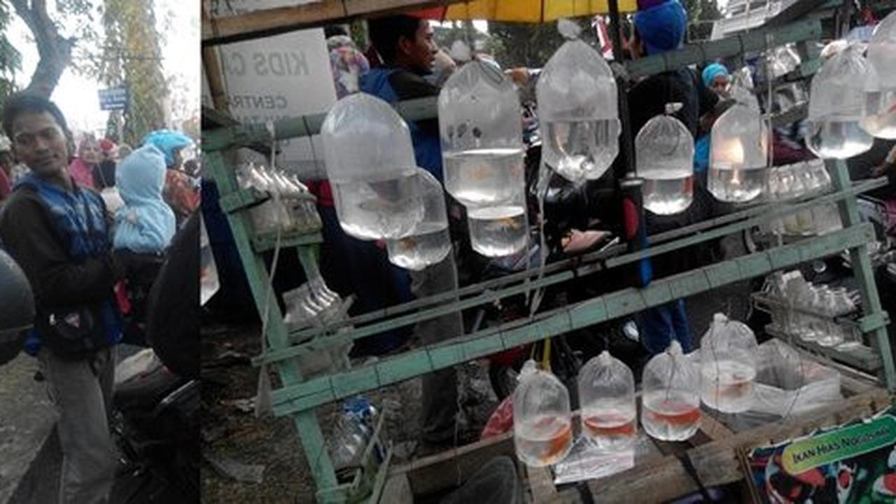 Keringat penjual ikan gendong anak sampai tengah malam