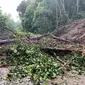 Jalan tertutup longsor di Kecamatan Kelay, Kabupaten Berau yang menyebabkan jalan trans Kalimantan lumpuh.