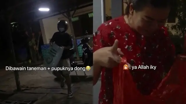 Video viral menunjukkan kisah seorang pemuda jadi calon menantu idaman bawa bingkisan tanaman keladi.