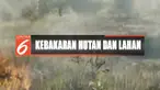 Puluhan hektare kebun tebu di Konawe Selatan, Sulawesi Tenggara, terbakar diduga sengaja dilakukan oknum.