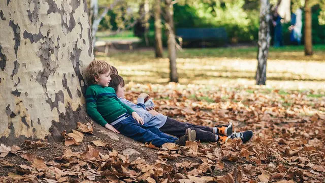 Dampak Positif Traveling untuk Kecerdasan Anak