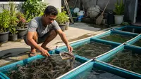 9 Jenis Ikan Konsumsi yang Cepat Besar dan Hemat Pakan untuk Pemula, Pahami Sebelum Budidaya
