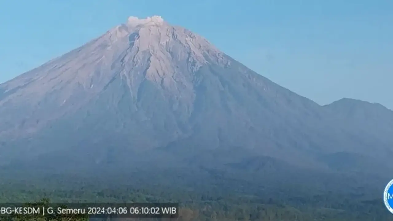 Gunung Semeru kembali erupsi dengan tinggi letusan capai 500 meter (Istimewa)