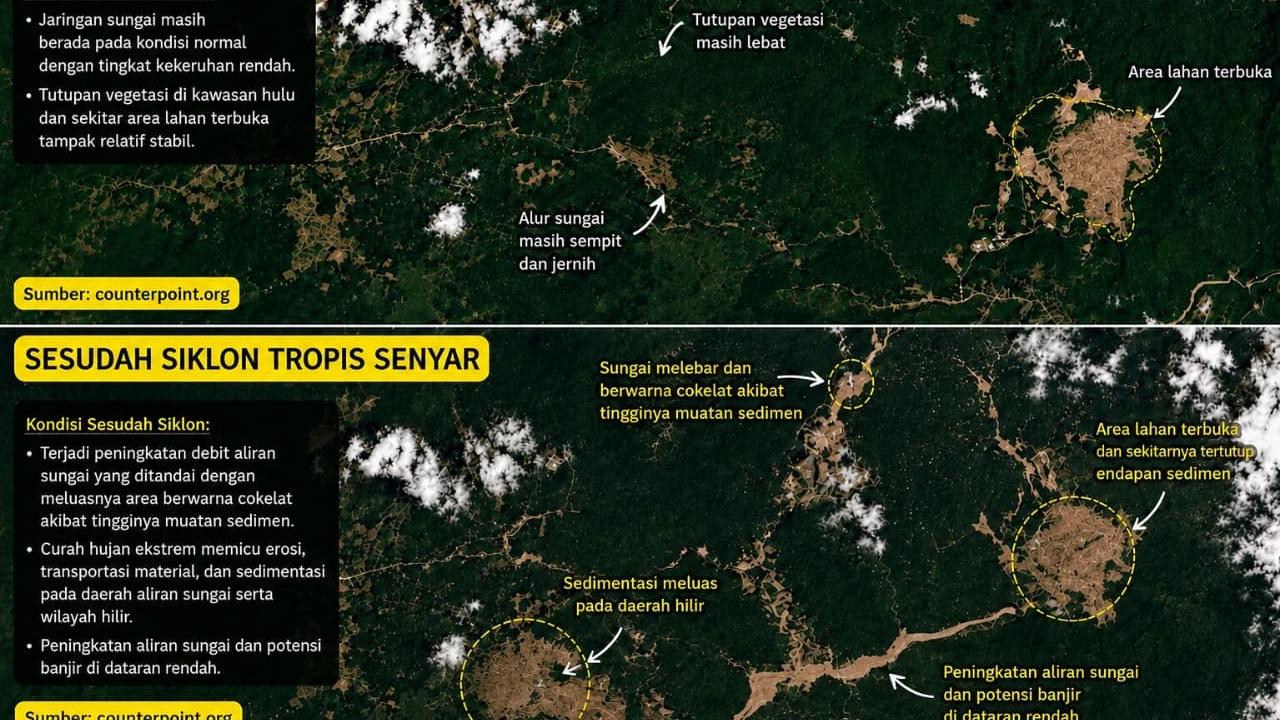 Ketika Hutan Tak Lagi Menahan Air: Menilik Jejak Deforestasi di Balik Cuaca Ekstrem Sumatra Utara