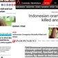 Media asing yang menyoroti aksi keji pembantaian orangutan di Kalimantan Tengah (Berbagai Sumber)