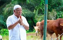Prabowo dan Gibran Salurkan Sapi Kurban ke IKN, Total Hampir 3 Ton