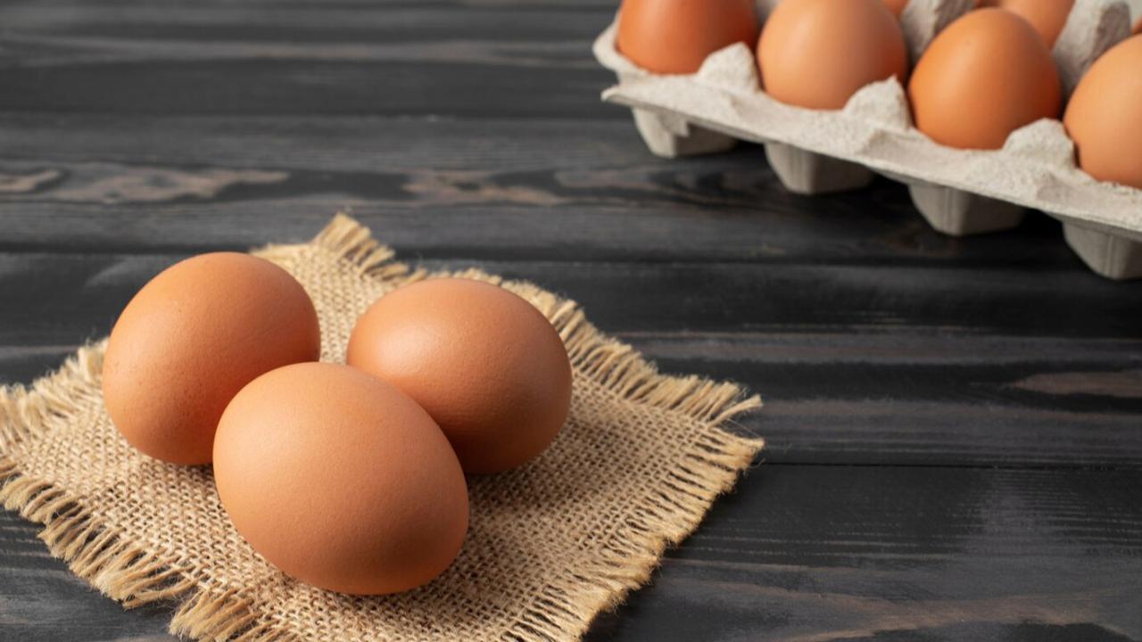 telur