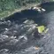 Sungai Cileungsi Menghitam Tercemar Limbah, Begini Respons Bupati Bogor
