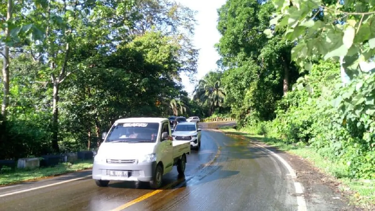 Tumpahan minyak sawit di jalan. (Antara)