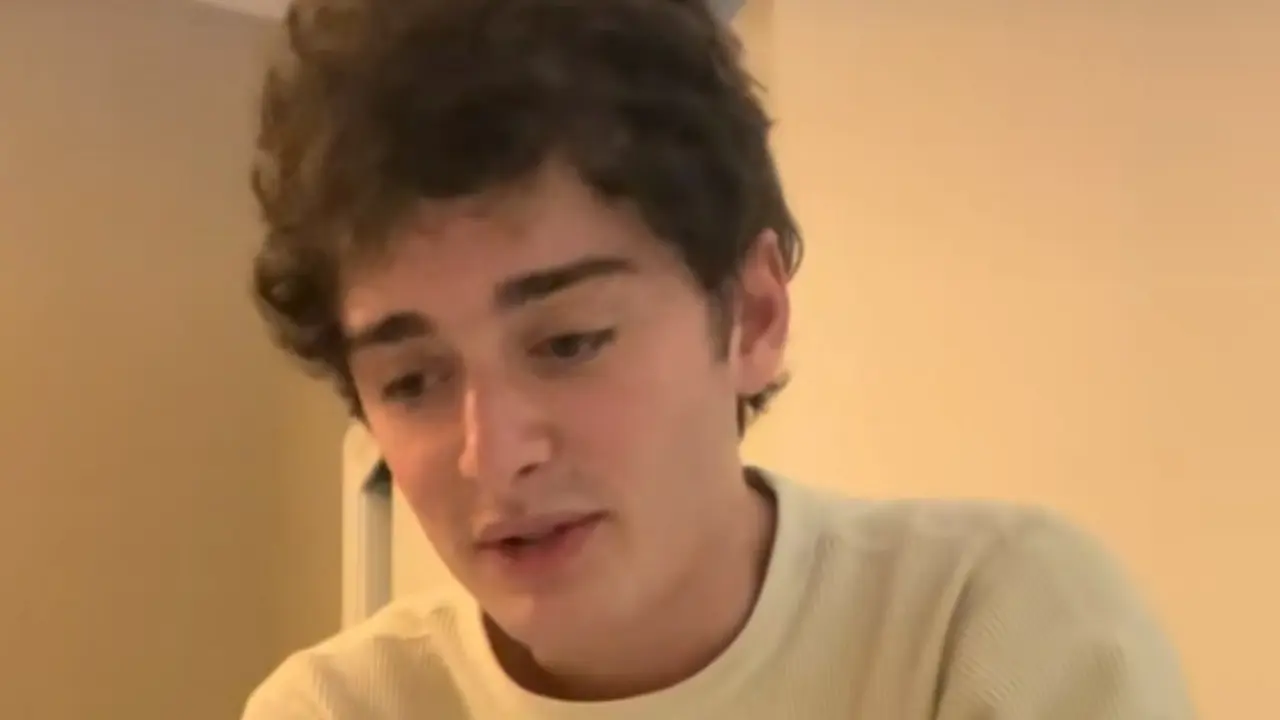 Noah Schnapp. (TikTok/ noahschnapp)