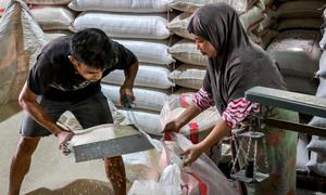 Sebelumnya, Kepala Badan Pangan Nasional (Bapanas) Arief Prasetya Hadi usai rapat dengar pendapat (RDP) bersama Komisi IV DPR RI, Senin (7/7/2025) mengungkap telah memiliki strategi jitu untuk menurunkan harga beras yang sempat melonjak dalam beberapa waktu terakhir. (BAY ISMOYO/AFP)