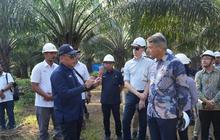 PTPN IV PalmCo Wujudkan Industri Sawit Berkelanjutan dengan 3 Pilar Utama, Raih Apresiasi Uni Eropa